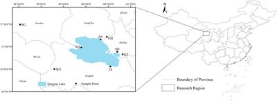 Comparative Analysis of Gut Microbial Composition and Functions in Przewalski’s Gazelle (Procapra przewalskii) From Various Habitats